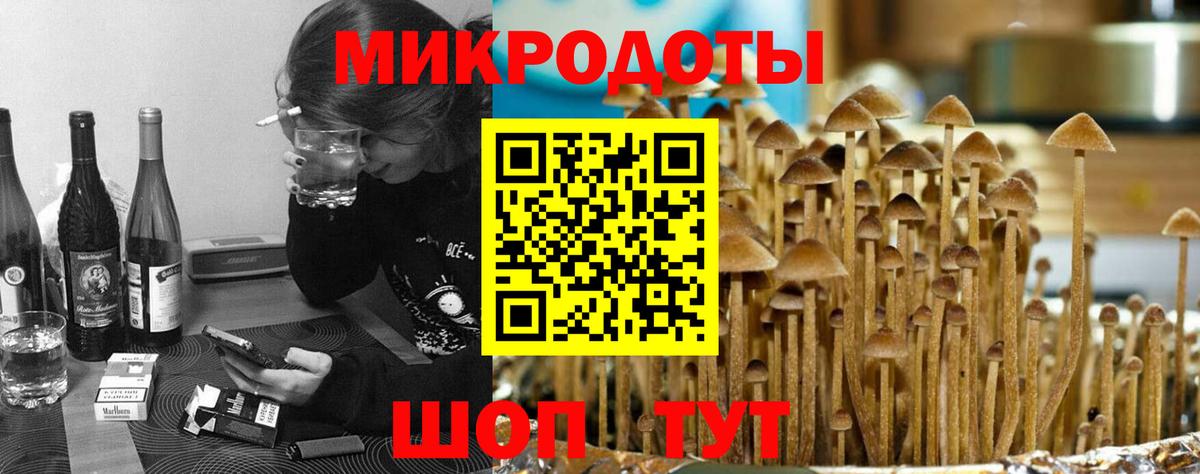 Псилоцибиновые грибы прущие грибы  Вход с VPN  Тихорецк 
